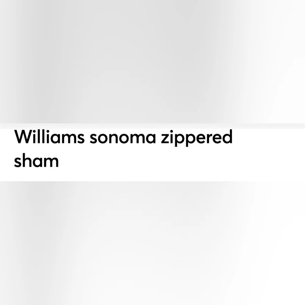 Williams Sonoma Cream and Brown Zippered Sham